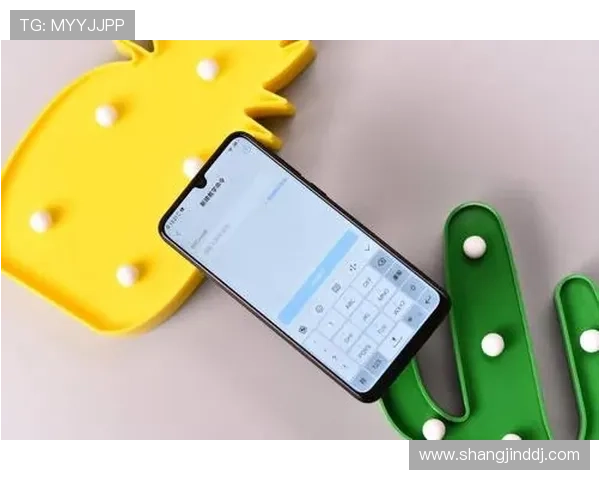 老虎机国际登录支持多币种支付，满足全球玩家的多样化需求